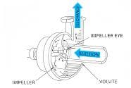 Centrifugal Pump Selection Guide